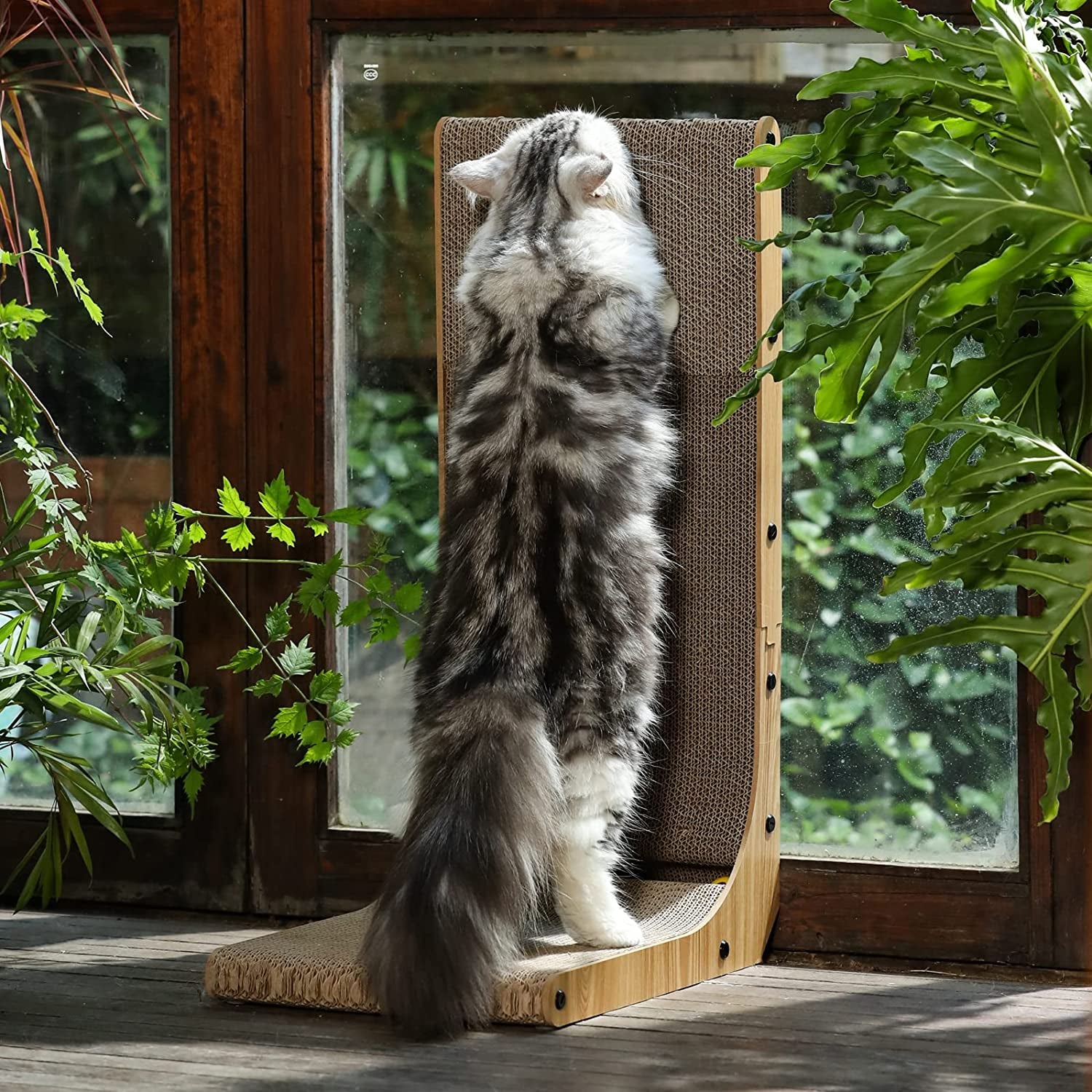 Rascador de Pared para Gatos en L - 68 cm, Cartón Resistente con Pelota de Juego, para Gatos de Interior